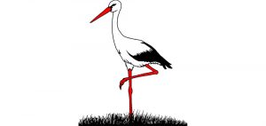 st logo